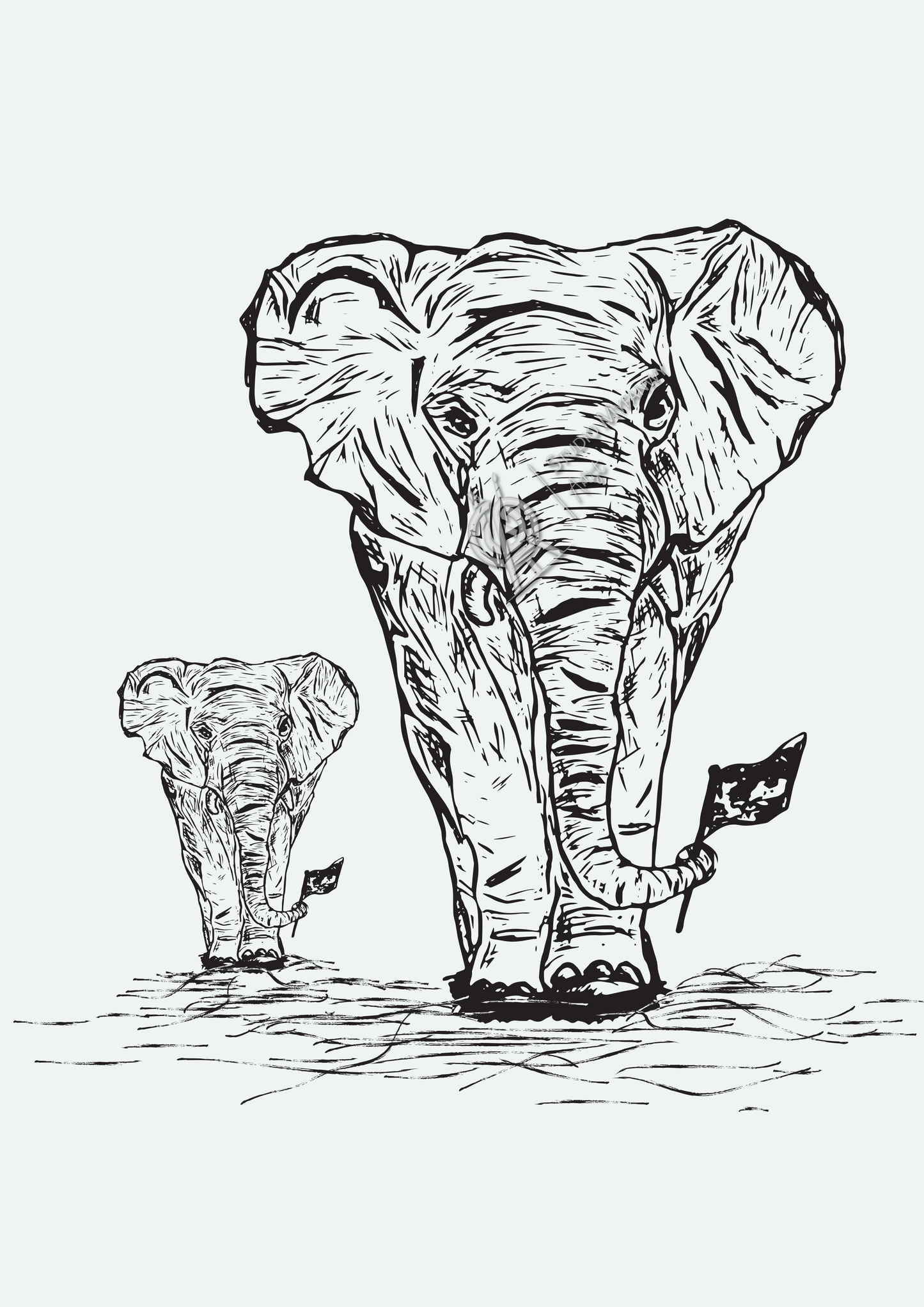 Black and white elephant print
